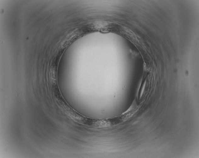 X0000071830421200607211806