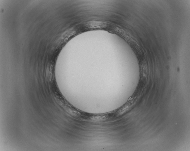 X0000071830422200607211806