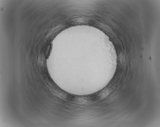 X0000071830423200607211806