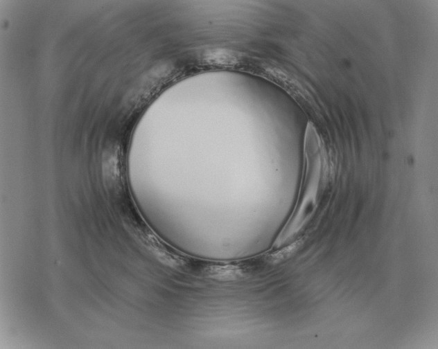 X0000071830424200607211806