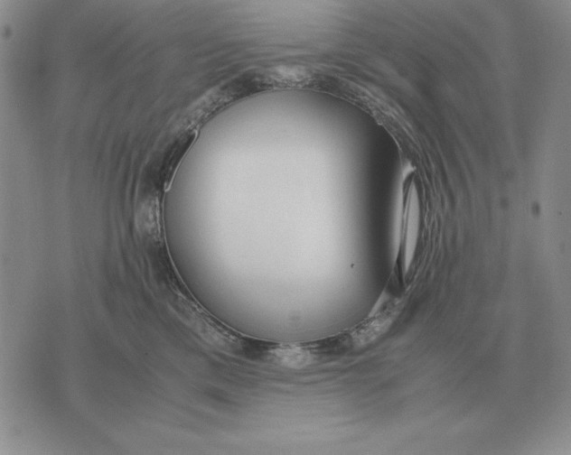 X0000071830425200607211806