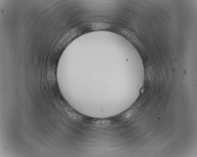 X0000071830426200607211806