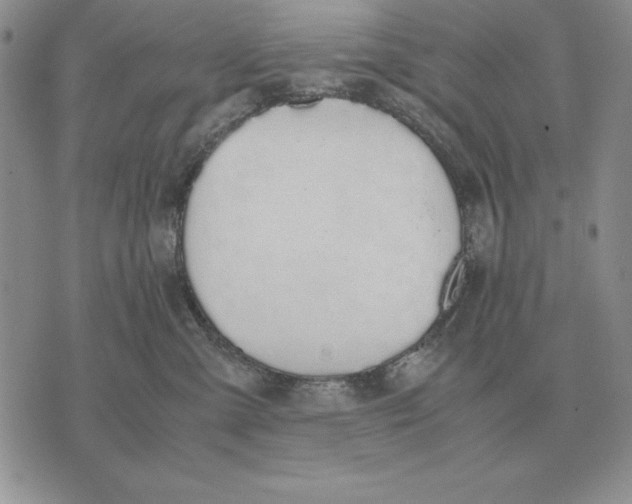 X0000071830427200607211806