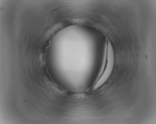 X0000071830428200607211806