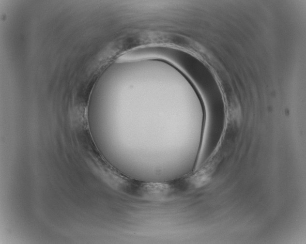 X0000071830429200607211806