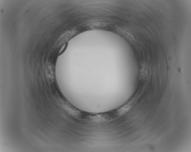 X0000071830430200607211806