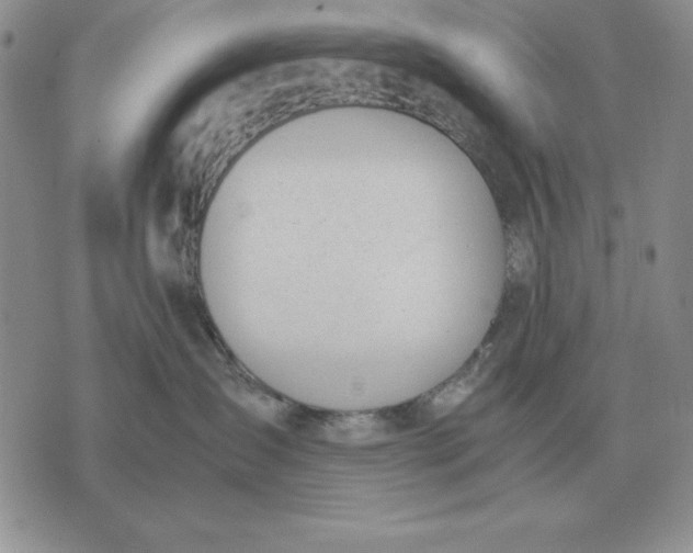 X0000071830431200607211806