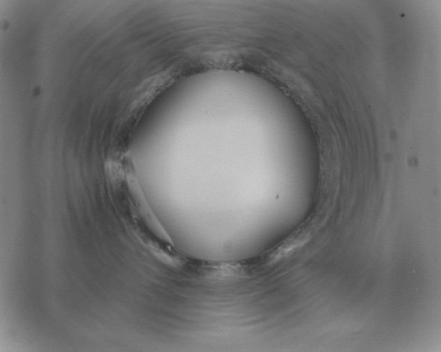 X0000071830432200607211806