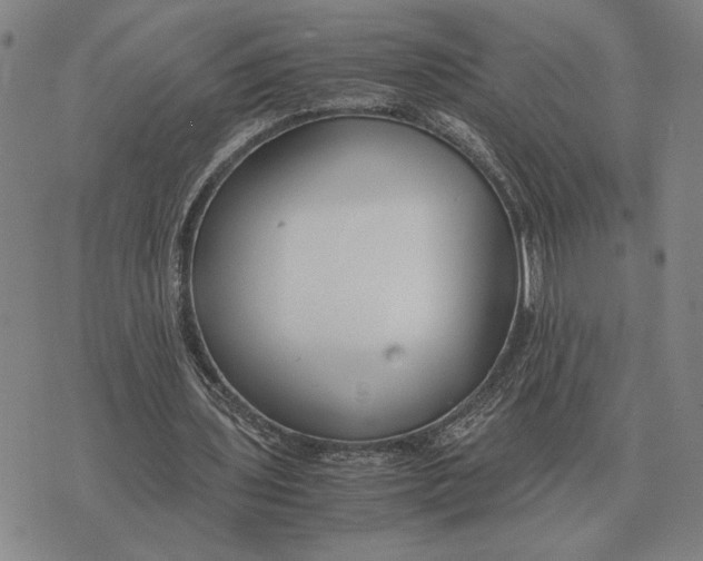 X0000071830435200607211806