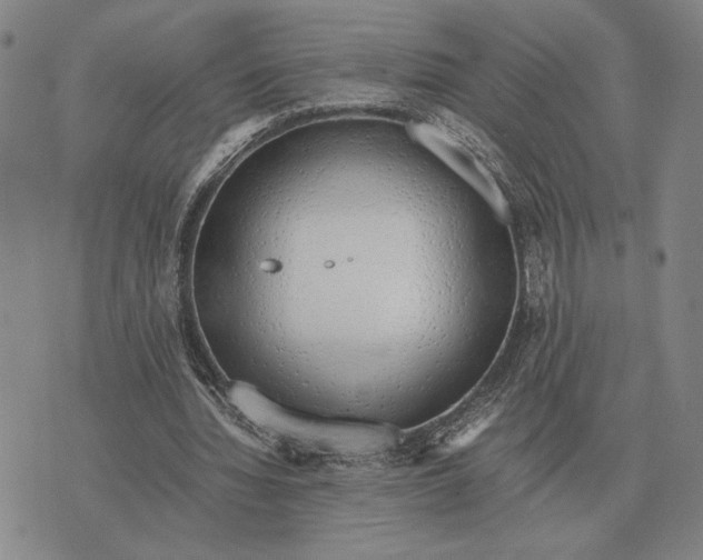 X0000071830436200607211806