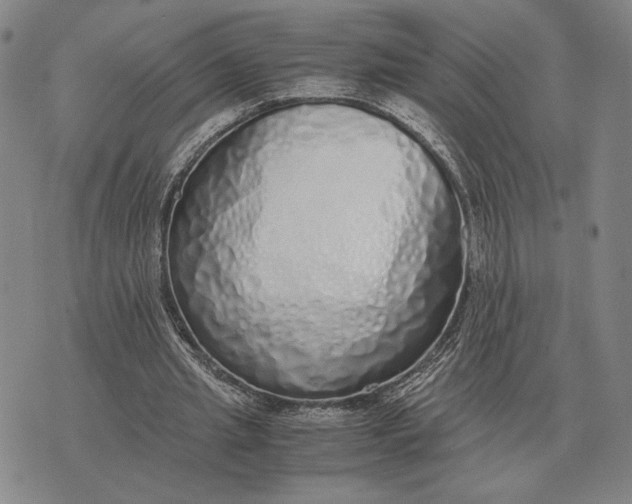 X0000071830437200607211806