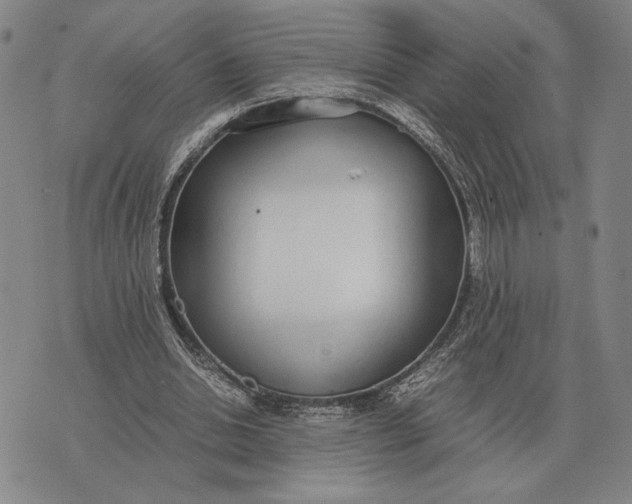 X0000071830438200607211806