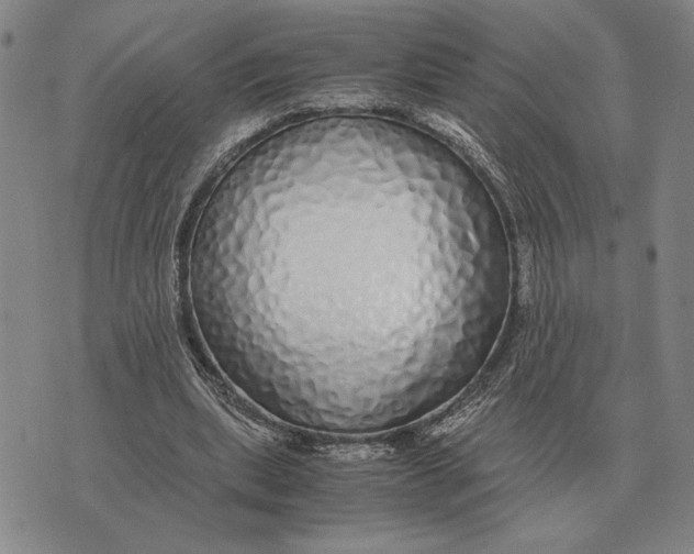 X0000071830439200607211806