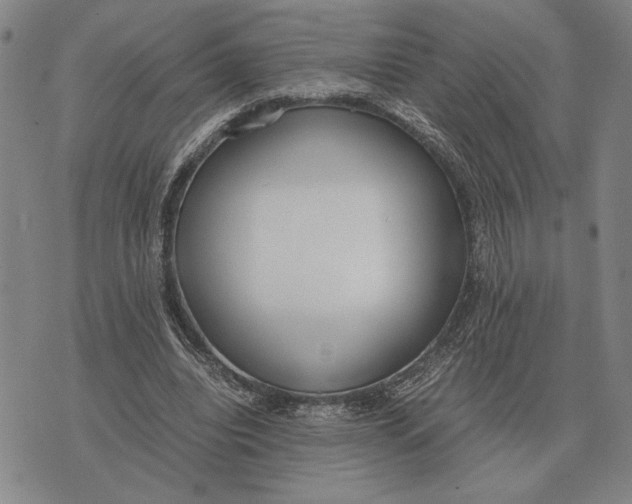 X0000071830440200607211806