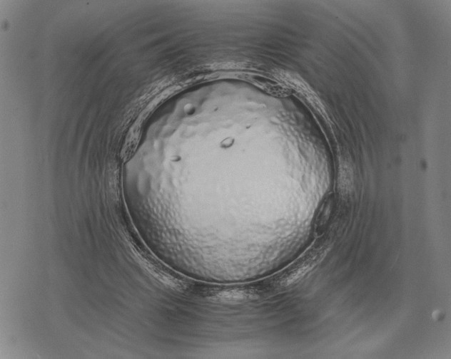 X0000071830441200607211806