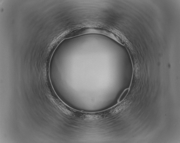 X0000071830442200607211806