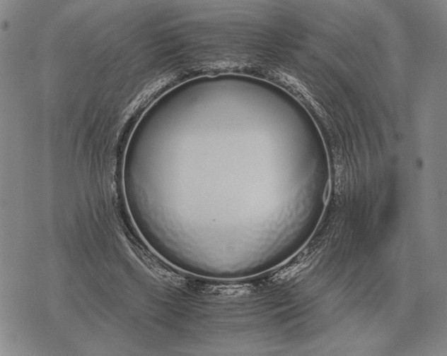 X0000071830443200607211806