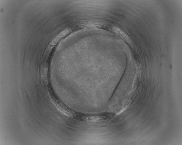 X0000071830444200607211806