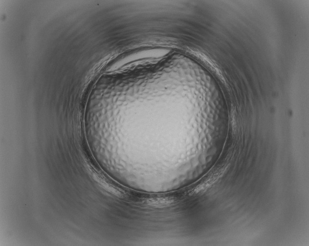 X0000071830445200607211806