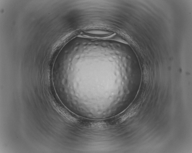 X0000071830446200607211806