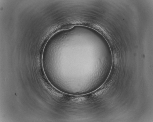 X0000071830447200607211806