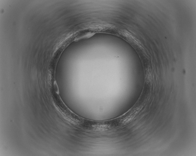 X0000071830448200607211806