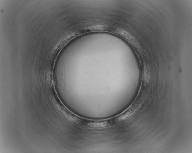 X0000071830449200607211806