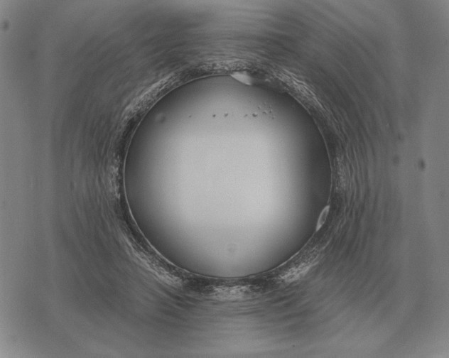 X0000071830450200607211806