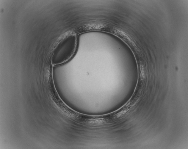 X0000071830451200607211806