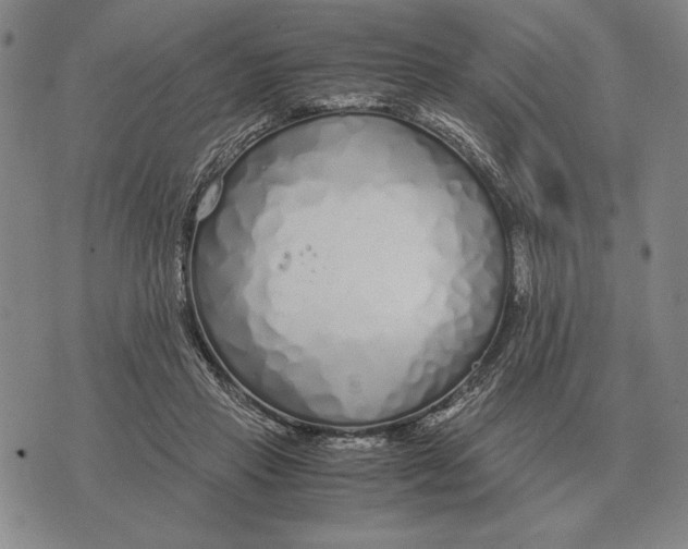 X0000071830453200607211806