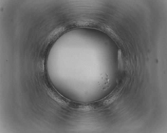 X0000071830454200607211806