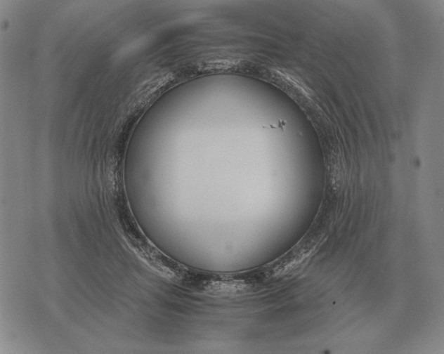 X0000071830455200607211806