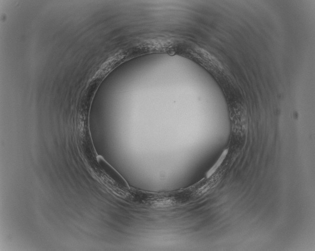 X0000071830456200607211806