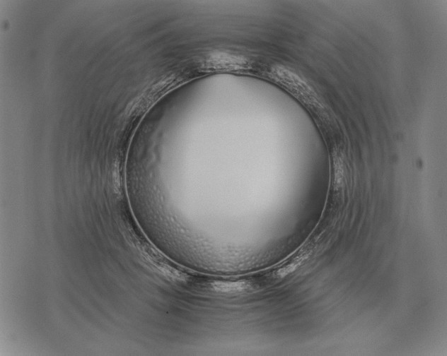 X0000071830457200607211806