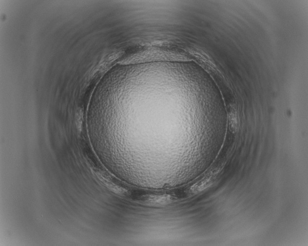 X0000071830458200607211806