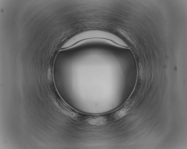 X0000071830459200607211806