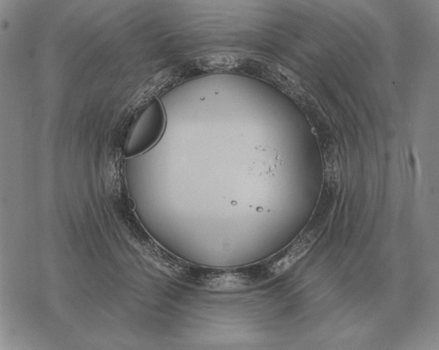 X0000071830460200607211806