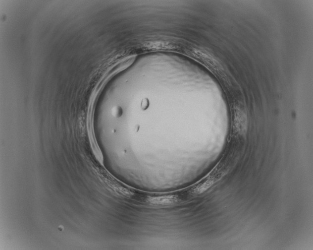 X0000071830461200607211806