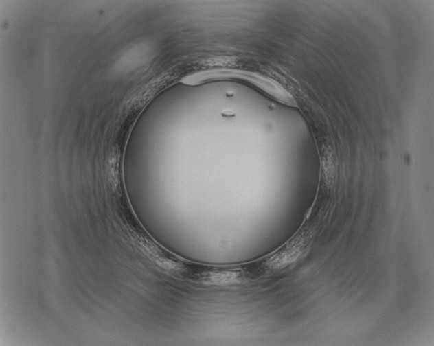 X0000071830462200607211806