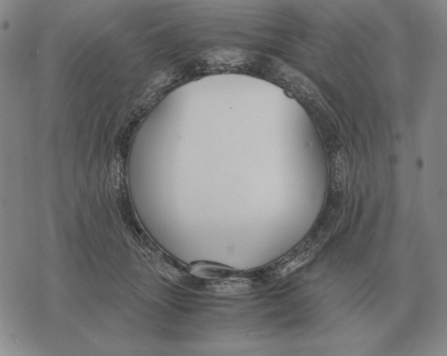 X0000071830463200607211806