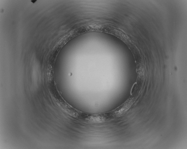 X0000071830464200607211806