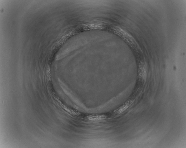 X0000071830465200607211806