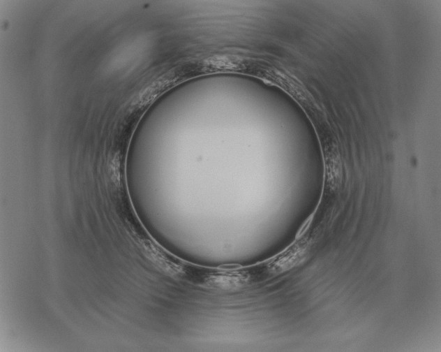 X0000071830466200607211806