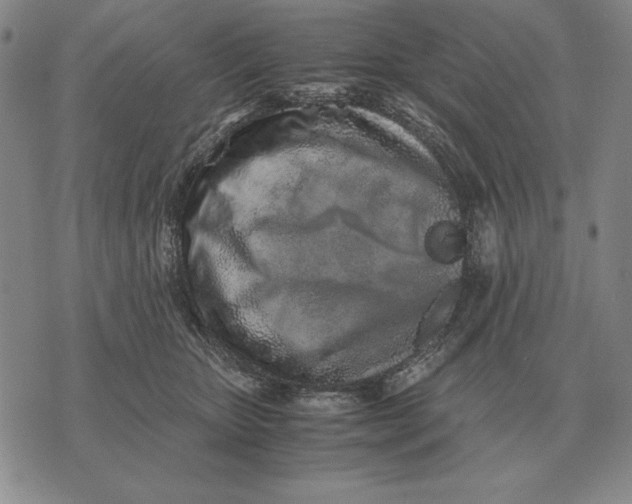 X0000071830467200607211806