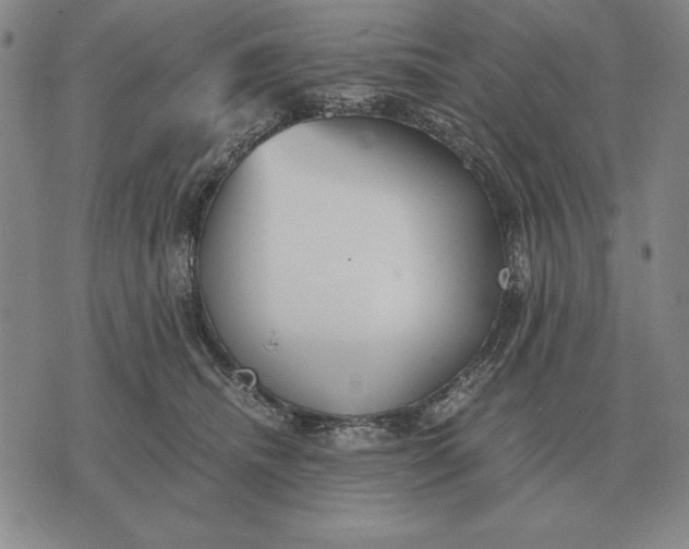 X0000071830468200607211806