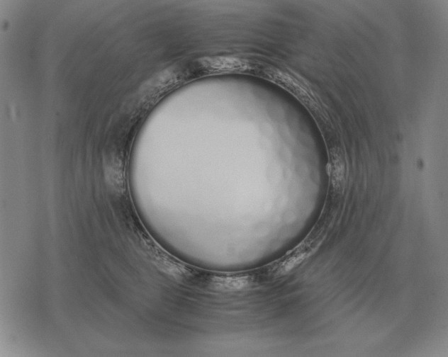 X0000071830469200607211806