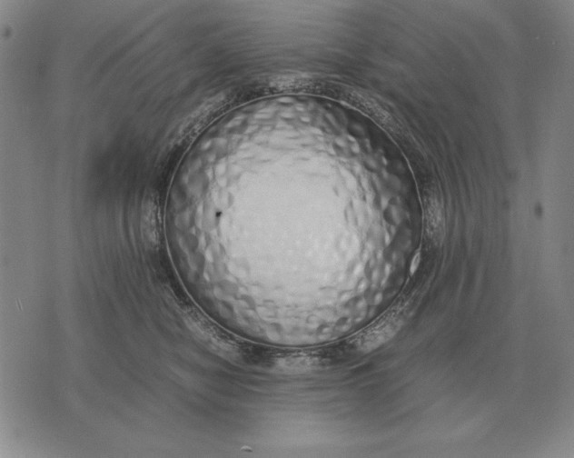 X0000071830470200607211806