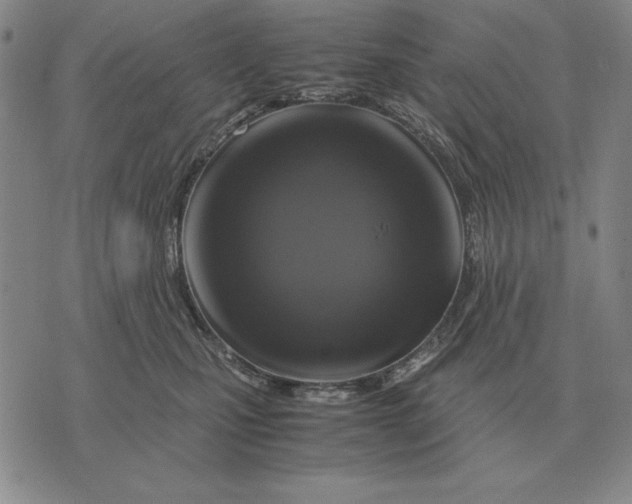 X0000071830471200607211806