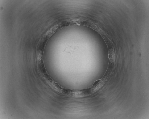 X0000071830472200607211806