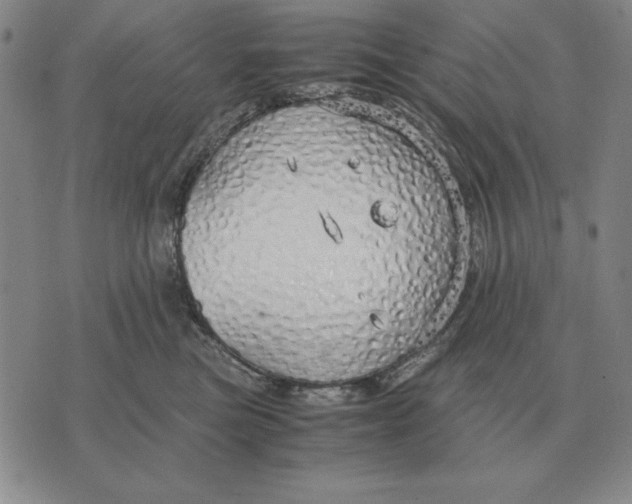 X0000071830473200607211806